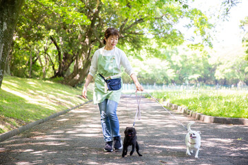 犬を散歩させる日本人女性