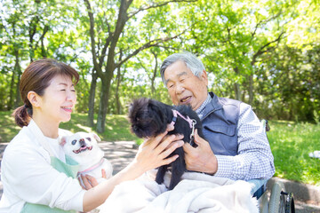 ペットセラピー　犬と嬉しそうな老人とヘルパー