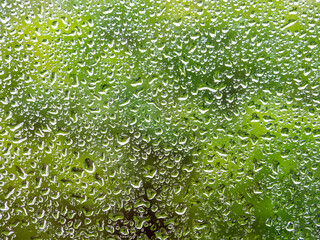 close up of rain drops on window on the rainy day, blurred green trees in background