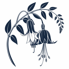 clianthus silhouette vector