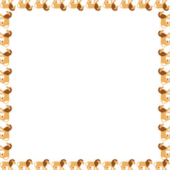 African lion frame. Savannah lion. Wildlife animal on white background border with empty space