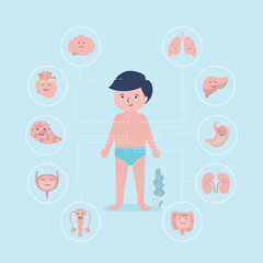 Little boy with marked internal organs. Human body anatomy. Educational infographic for kids. Set of different organs and systems. Anatomical structure.