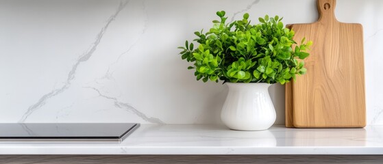 Modern Kitchen Countertop with Green Plant and Wooden Cutting Board in Bright Space