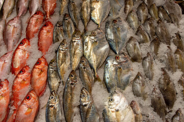 Fresh fish in a fishmonger ready to be sold, Margarita Island, Venezuela