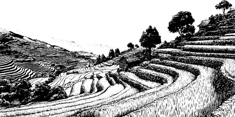 Fototapeta premium Engraved landscape of rice paddies on terraced hills with traditional structures