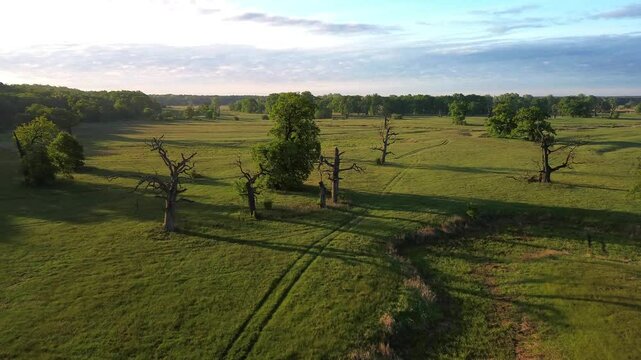 Aerial view of the Rogalin Landscape Park, Poland.	