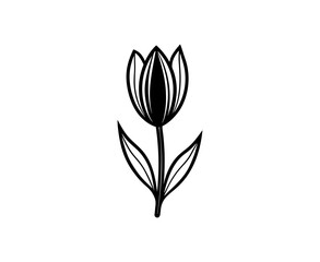 vector illustration of a plant