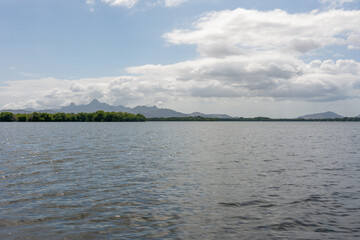 Mangrove swamp at National Park Laguna de la Restinga Lagoon in Venezuela, Margarita Island