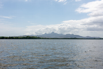 Mangrove swamp at National Park Laguna de la Restinga Lagoon in Venezuela, Margarita Island