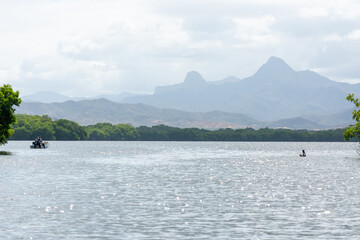 Obraz premium Mangrove swamp at National Park Laguna de la Restinga Lagoon in Venezuela, Margarita Island