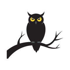 Owl Sitting On Tree Branch At Night