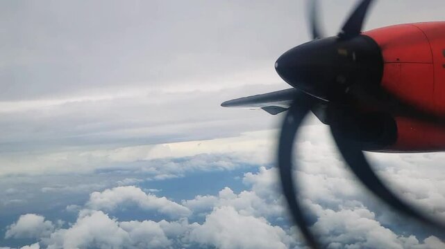 Red propeler airplane flying in the sunny day
