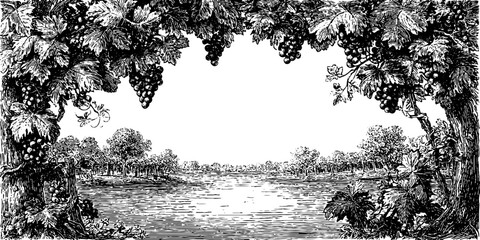 Engraved vineyard illustration with scenic overlook and grapevine border for art prints