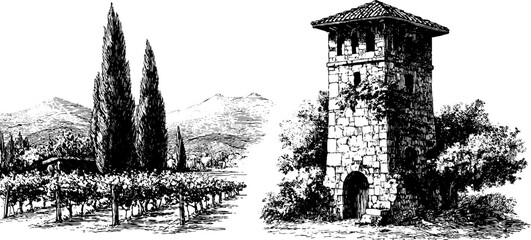 Engraved vineyard and stone structure illustration for historical design and decoration