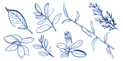 Watercolour hand drawn tropical leaves, brush line technique, blue leaves hand drawn.Ude as print, poster, element design, textile, fabric, sticker, tattoo, invitation, greeting card, package design.