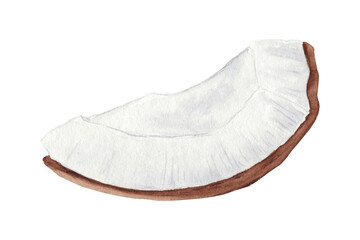 Watercolor illustration of a coconut slice with white flesh. Great for tropical designs, summer prints, and healthy food projects.