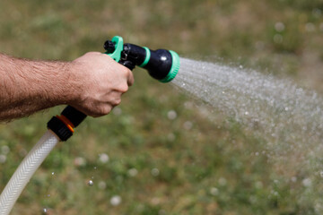 A man's hand holds a hose and sprinkles water on the vegetable garden