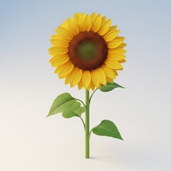 Obraz premium sunflower on a blue background