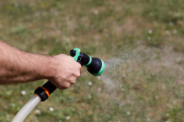 A man's hand holds a hose and sprinkles water on the vegetable garden