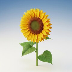 Obraz premium sunflower on a blue background