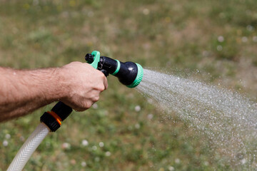 A man's hand holds a hose and sprinkles water on the vegetable garden