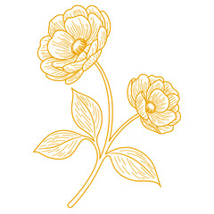 Elegant Botanical Flower Line Art. Vintage Floral Vector Illustration in Monoline Style