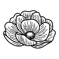 Hand-Drawn Blooming Flower Vector. Black and White Botanical Line Art Illustration