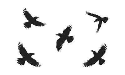 Fototapeta premium Silhouette Flying Ravens Vector Illustration Set