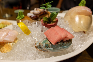 Fresh Sashimi Platter on Ice