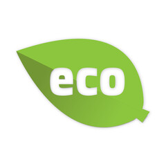 green vector icon with shadow and text eco in the form of a leaf