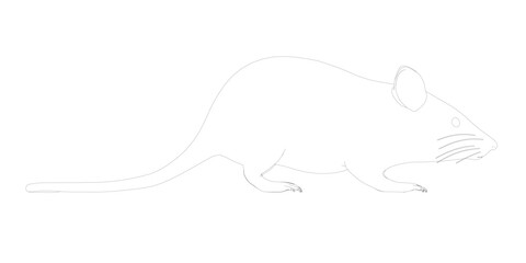A mouse is running across a white background. The mouse is small and has a long tail. The image is simple and straightforward, with no additional details or distractions