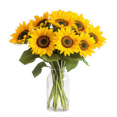 Obraz premium Sunflower bouquet in glass vase isolated on transparent background