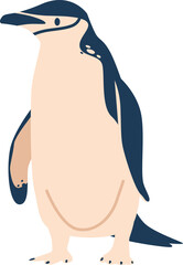 White-bellied antarctic penguin vector illustration