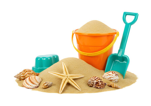 Seashell clip art preview
