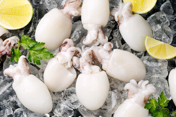 Fresh raw cuttlefish on ice with lime and parsley