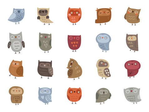 Fototapeta Owl character scandinavian style set created for cute woodland bird designs with feathers, wings, beak and cozy animal illustrations in kids themed projects