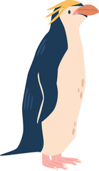 Golden-haired antarctic penguin vector illustration