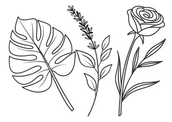 Botanical Line Art Coloring Page – Hand-Drawn Floral and Plant Illustrations for Adult and Kids Coloring Book, Drawing Practice, and Relaxation Activity