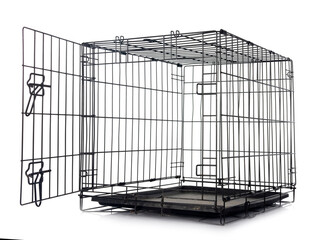 pet carrier in studio