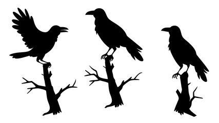 set of raven sitting on branch silhouette