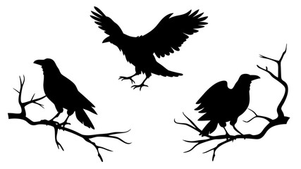 set of raven sitting on branch silhouette