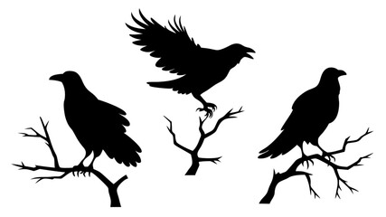 set of raven sitting on branch silhouette