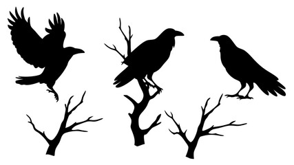 set of raven sitting on branch silhouette