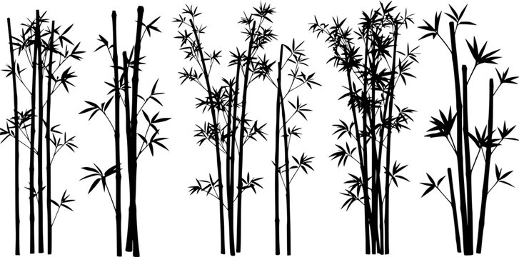 bambus silhouettes volume 2
