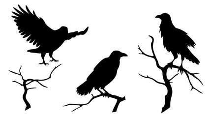 set of raven sitting on branch silhouette