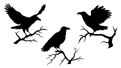 set of raven sitting on branch silhouette