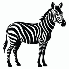 A zebra silhouette illustration on white backgroun