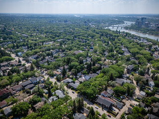 City view with many houses and trees