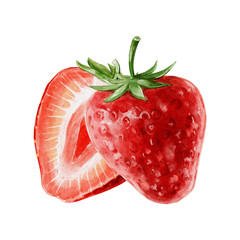 strawberry watercolour illustration
