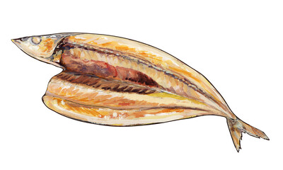 秋刀魚の開き 水彩風イラスト